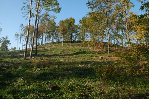 Blick auf den Turmhügel